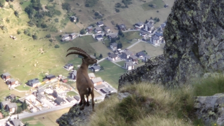 Zustieg zur Weisshornhütte